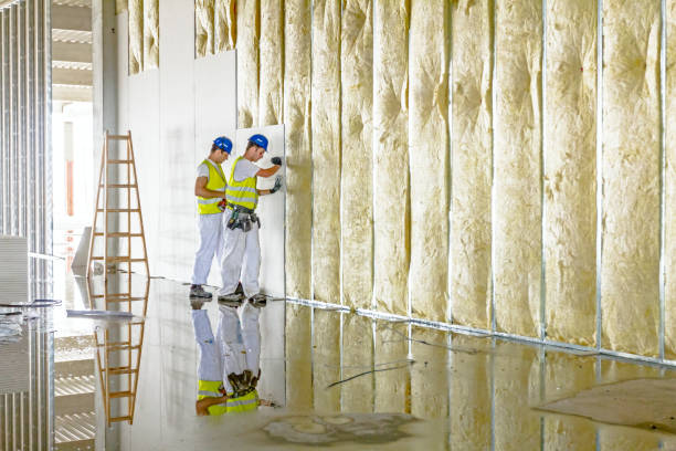 Best Types of Insulation in Crosbyton, TX